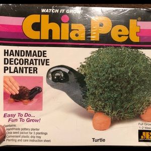 Turtle Chia Pet